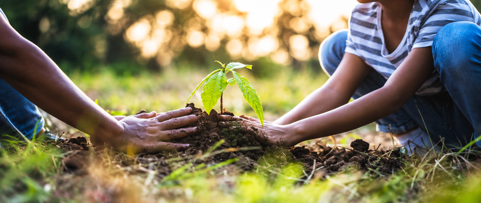 Plantation d'arbres par des membres de la communauté